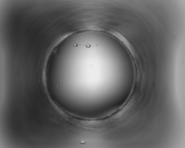 X0000088211293200705292045