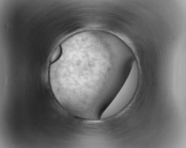 X0000088211296200705292045