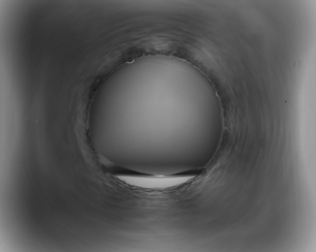 X0000088211297200705292044