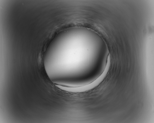 X0000088211298200705292044