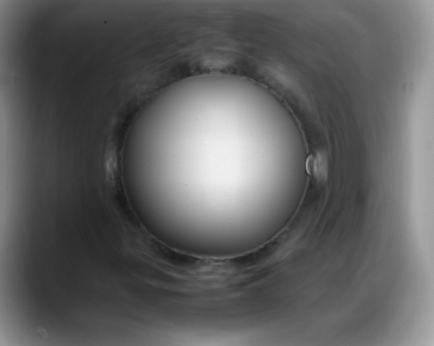 X0000088211299200705292044