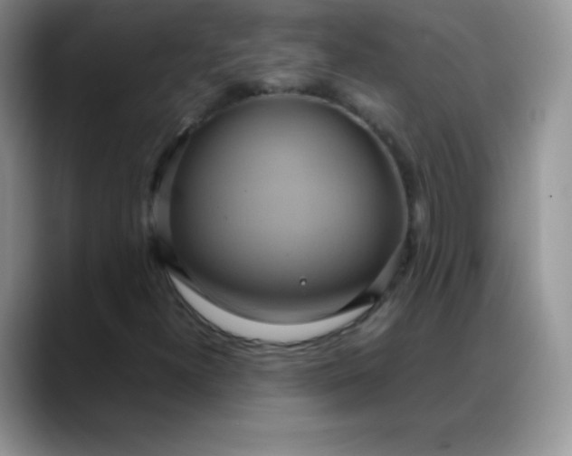 X0000088211300200705292044