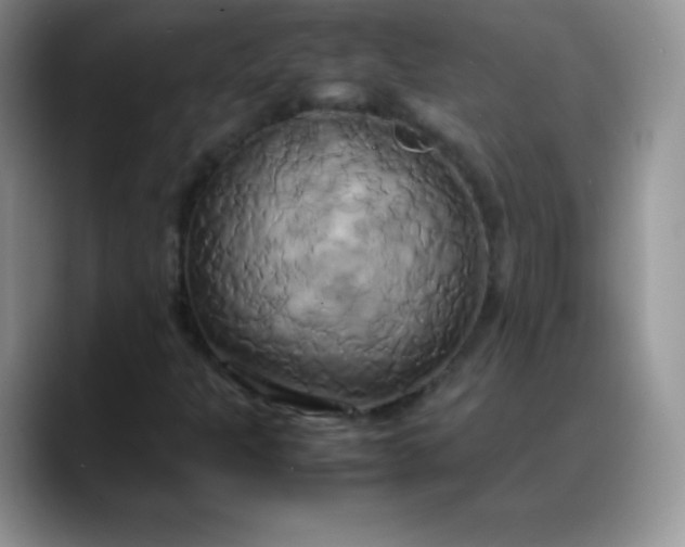 X0000088211301200705292044