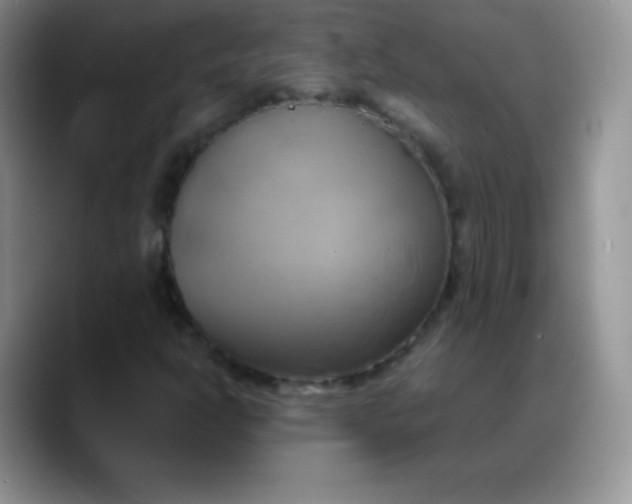 X0000088211302200705292044