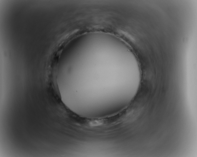 X0000088211303200705292044