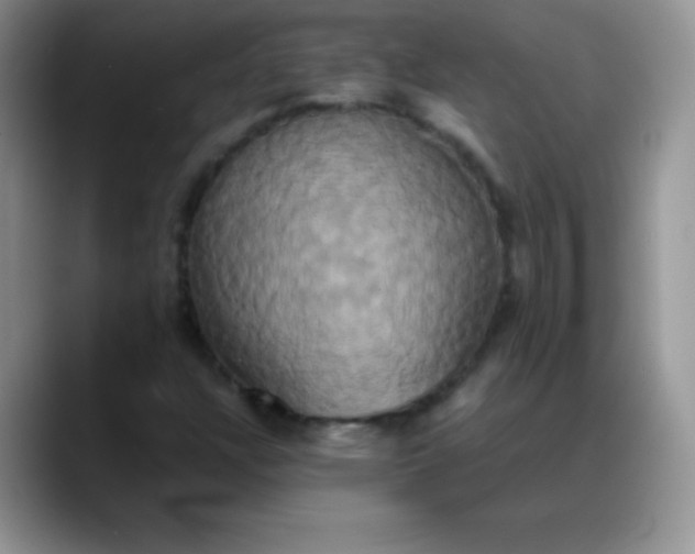 X0000088211304200705292044