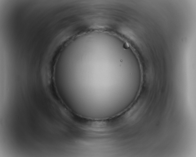 X0000088211306200705292044