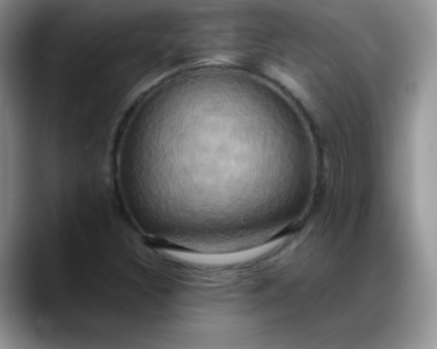 X0000088211308200705292044