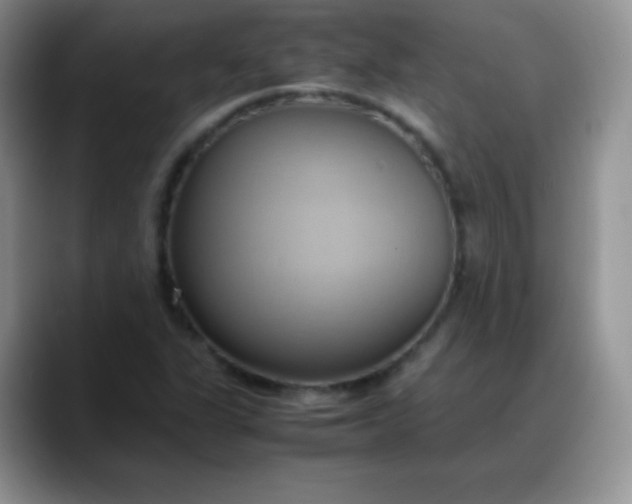 X0000088211311200705292044