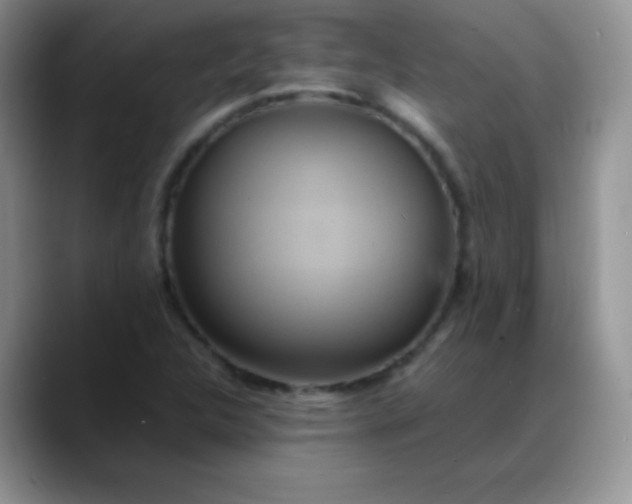 X0000088211312200705292044