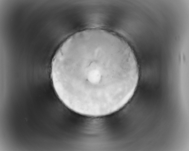 X0000088211314200705292044