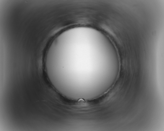 X0000088211315200705292044