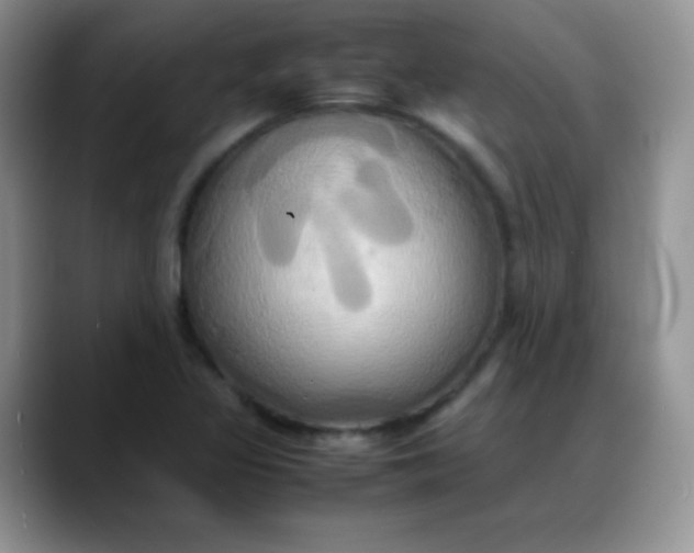 X0000088211317200705292044