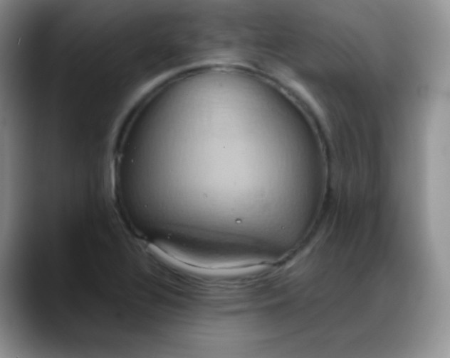 X0000088211320200705292045