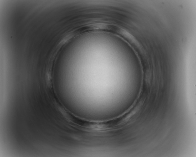 X0000088211321200705292045