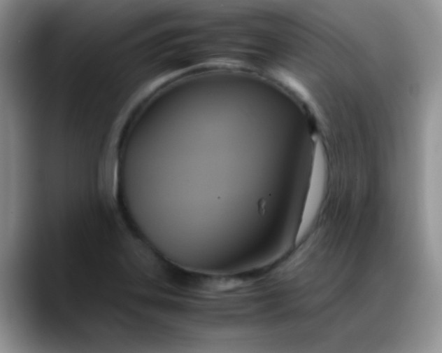 X0000088211323200705292045
