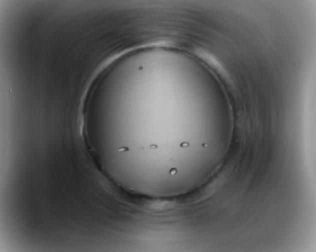 X0000088211324200705292045