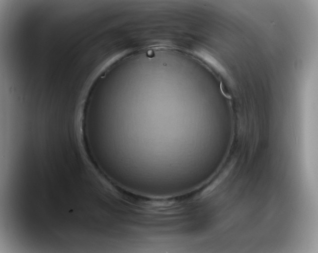X0000088211325200705292045