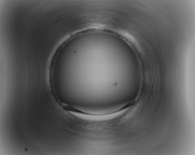 X0000088211326200705292045