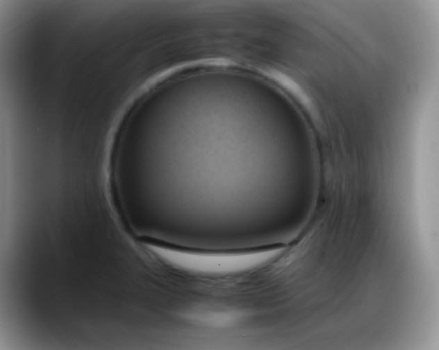 X0000088211327200705292045