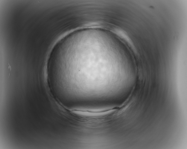X0000088211328200705292045
