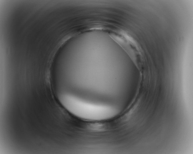 X0000088211329200705292045