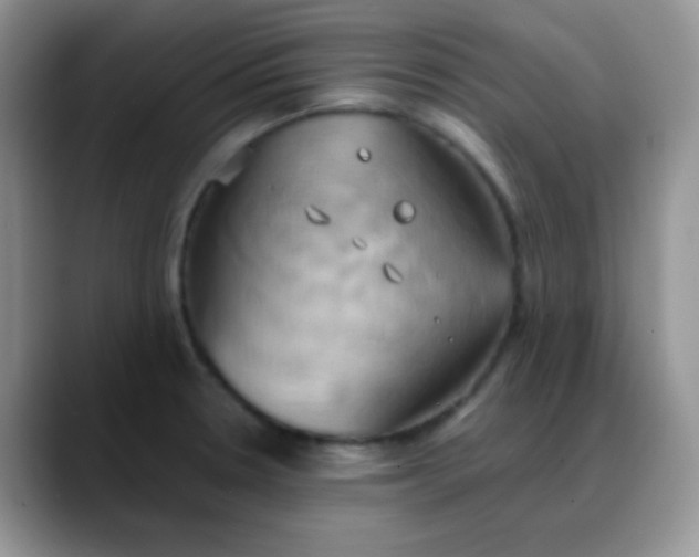 X0000088211330200705292045