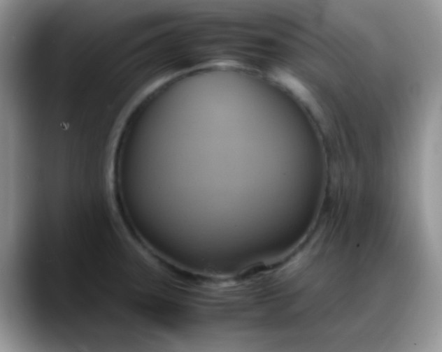 X0000088211331200705292045