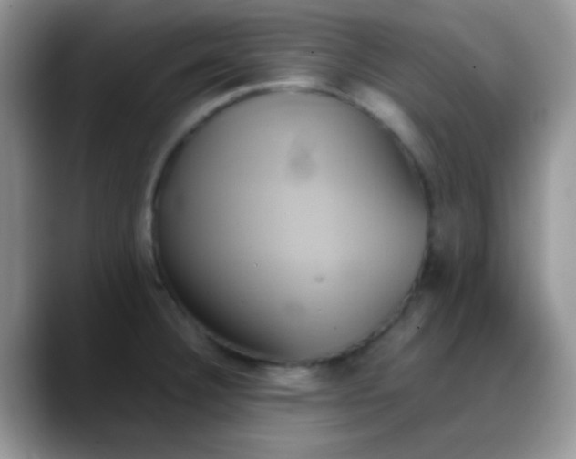 X0000088211332200705292045