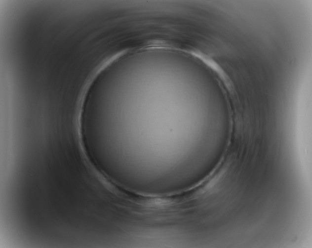 X0000088211333200705292045