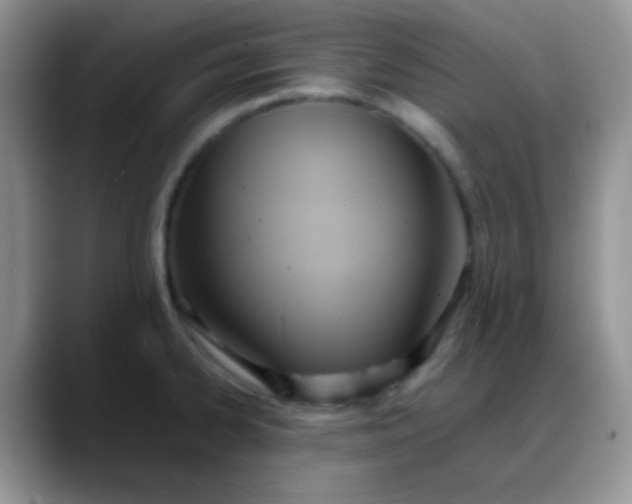 X0000088211334200705292045