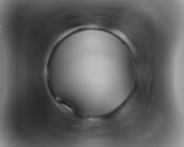 X0000088211335200705292045