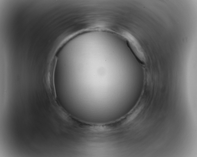 X0000088211336200705292045