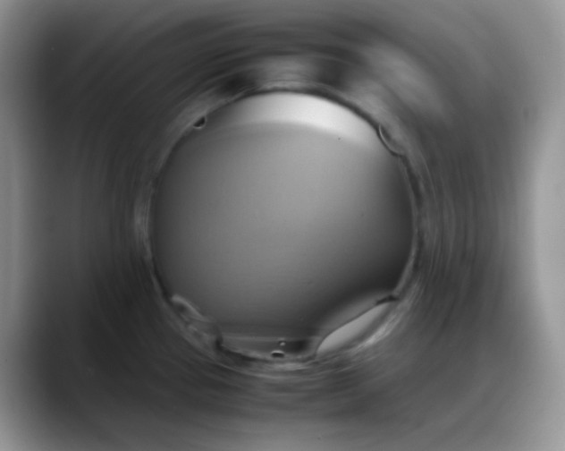 X0000088211337200705292045