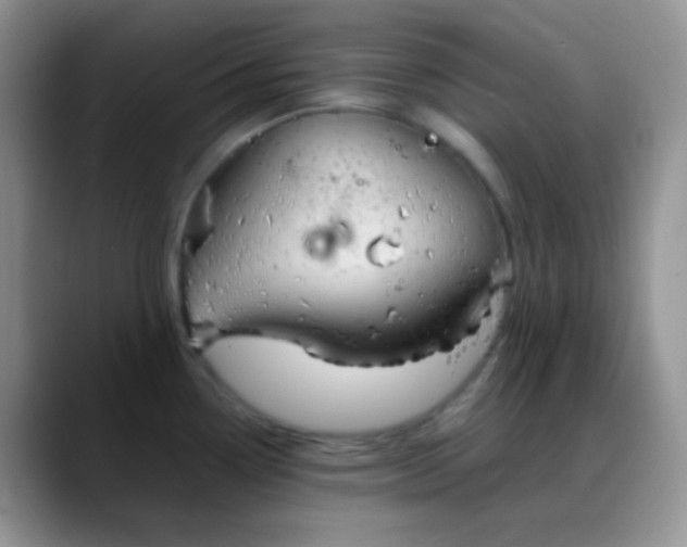 X0000088211338200705292045