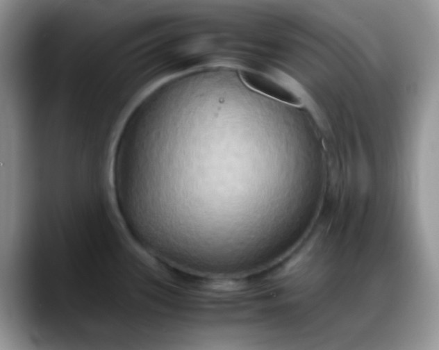 X0000088211339200705292045