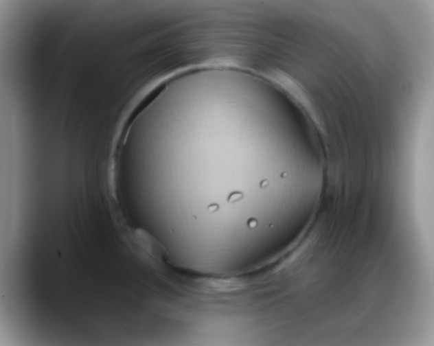 X0000088211340200705292045