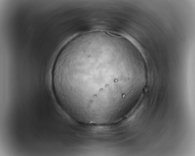 X0000088211341200705292045