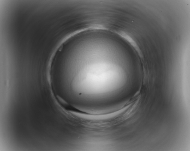 X0000088211342200705292045