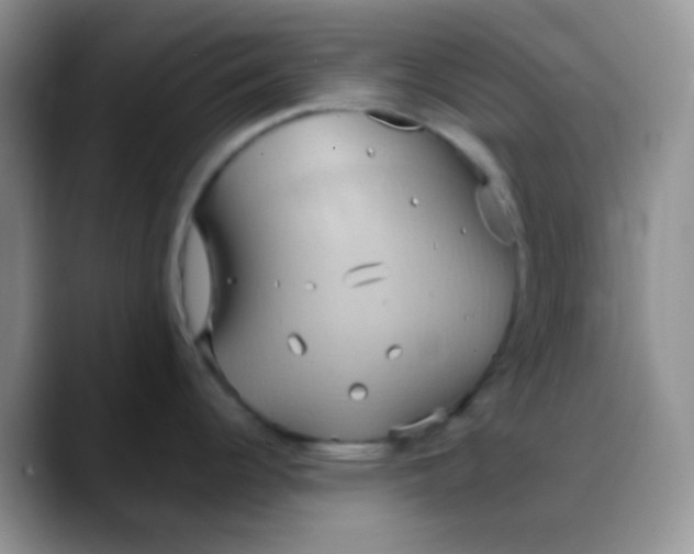 X0000088211344200705292045