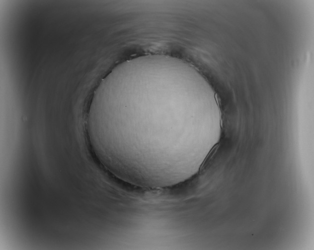 X0000088211345200705292044