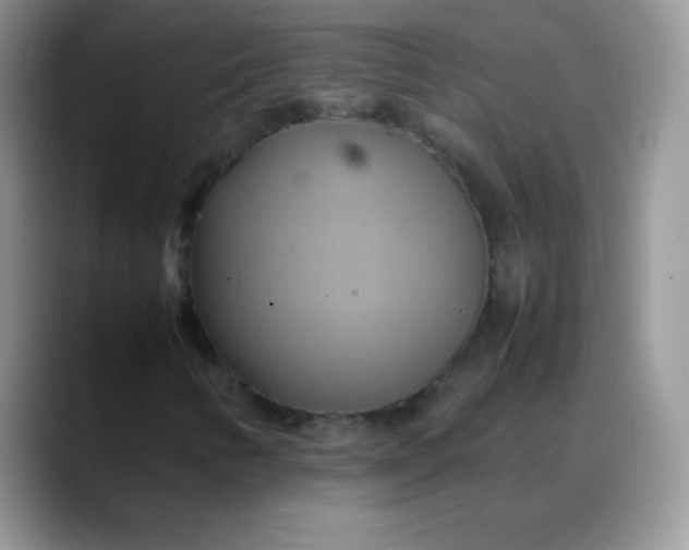 X0000088211346200705292044