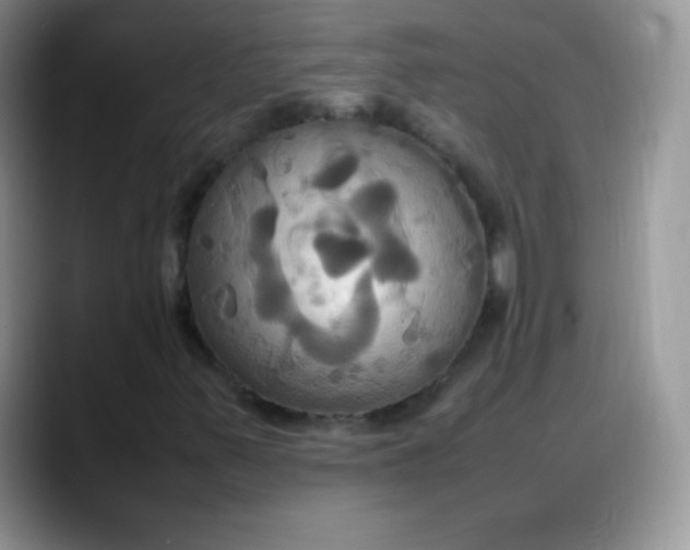 X0000088211347200705292044