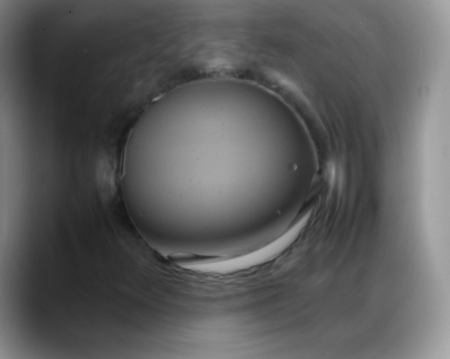 X0000088211348200705292044