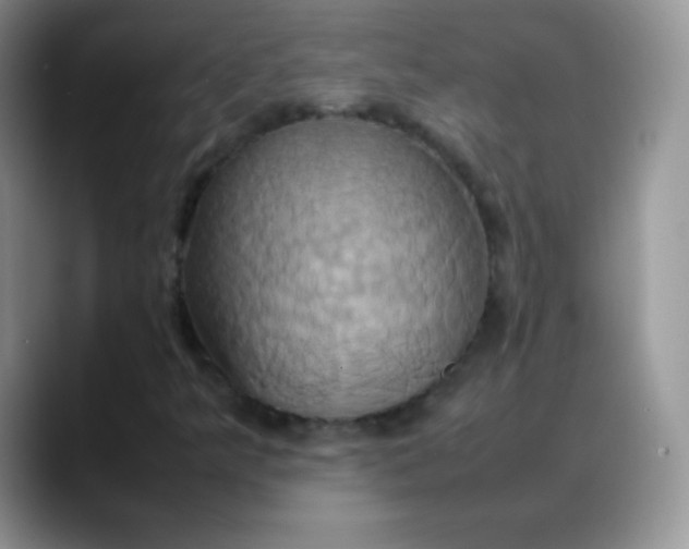 X0000088211349200705292044
