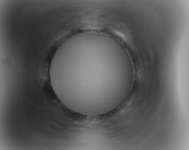 X0000088211350200705292044