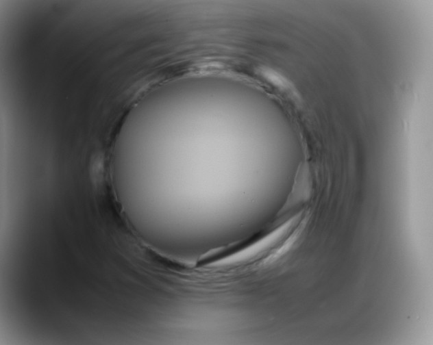 X0000088211353200705292044