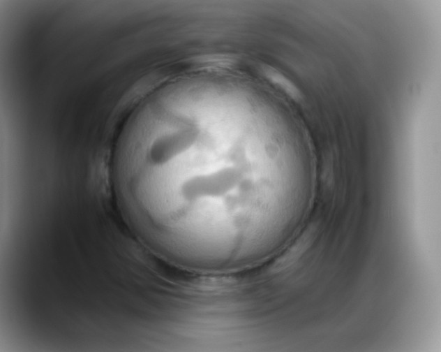 X0000088211354200705292044
