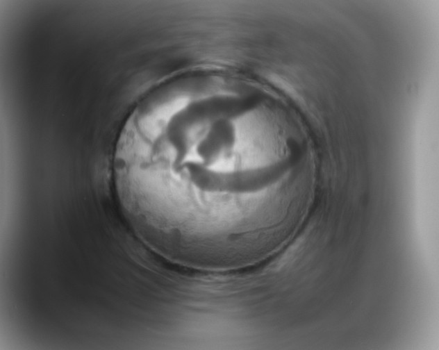 X0000088211355200705292044