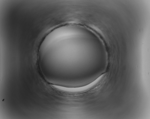 X0000088211359200705292044